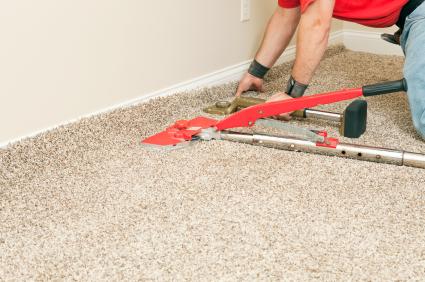 Carpet Repair in Downers Grove, IL by True Eco Dry LLC