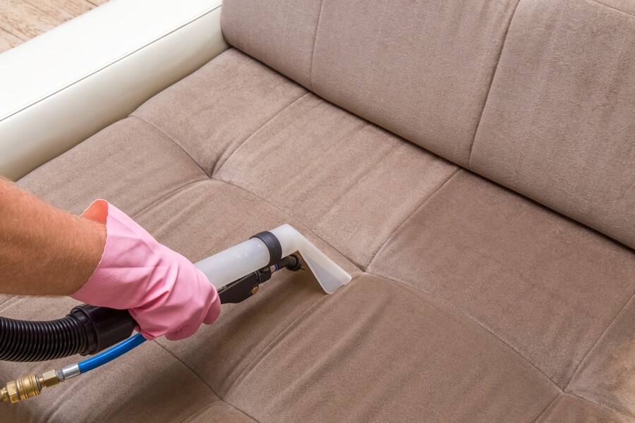 Upholstery cleaning by True Eco Dry LLC