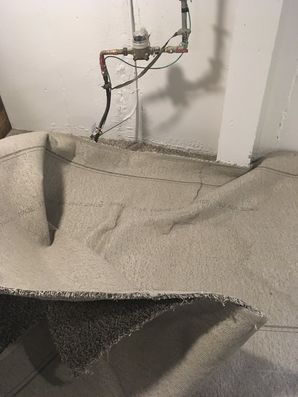 Before & After Water Damage Carpet Repair in Villa Park, IL (1)
