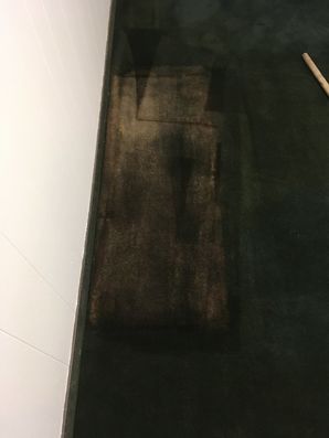 Before & After Bleach Dye Repair in Chicago, IL (1)