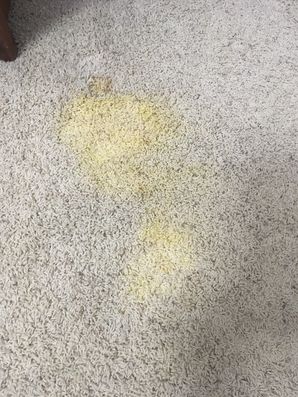 Before & After Stain Repair in Oak Park, Illinois (1)
