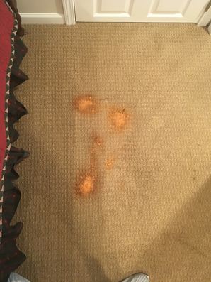 Before and After Bleach Stain Repair in Willowbrook, Illinois (1)