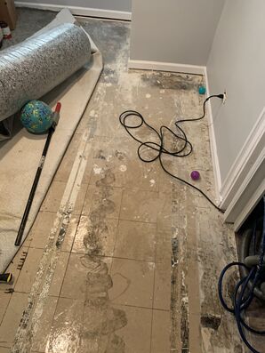 Before & After Carpet Installation in Elmhurst, IL (1)